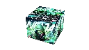 Best price Ninja